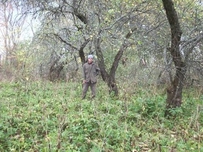 Усадьба Сырец